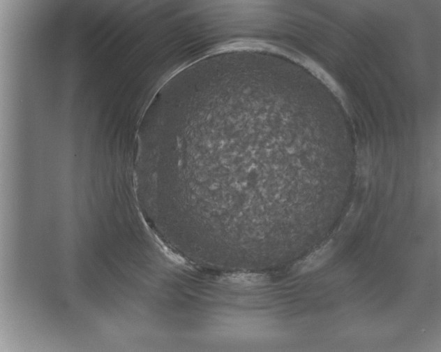 X0000071330953200606301557