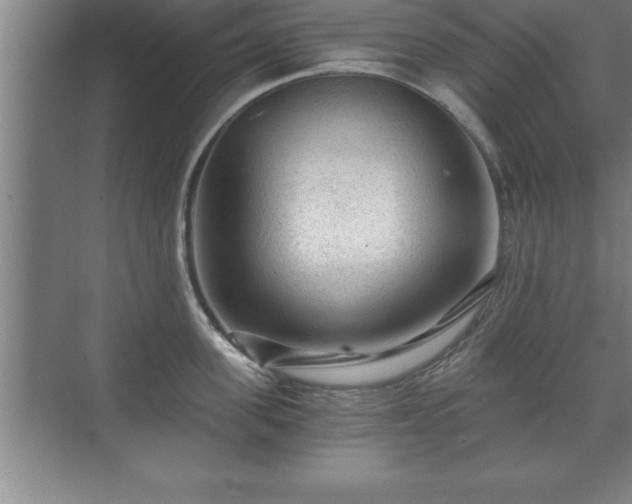 X0000071330955200606301557