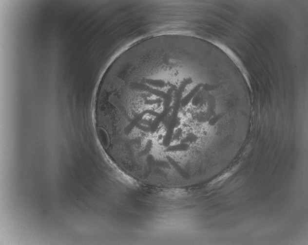 X0000071330957200606301557