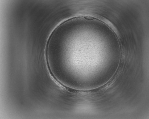 X0000071330958200606301557