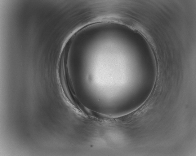 X0000071330960200606301557