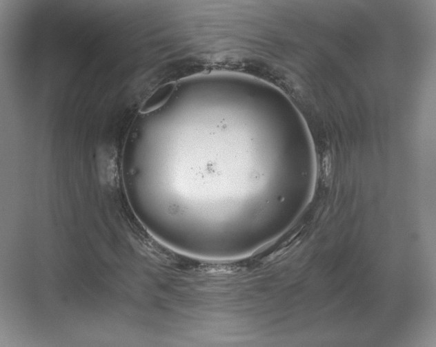 X0000071330963200606301556