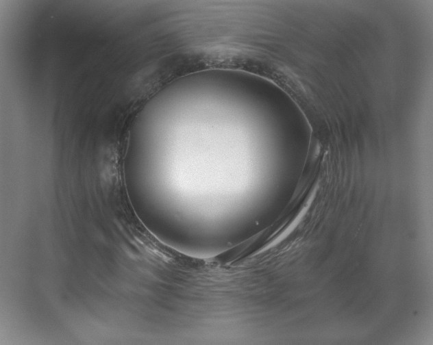 X0000071330964200606301556