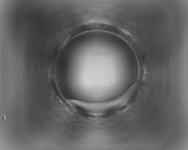 X0000071330965200606301556