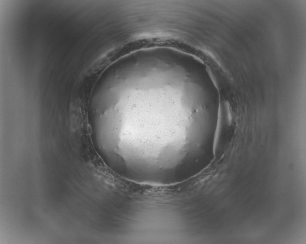 X0000071330967200606301556