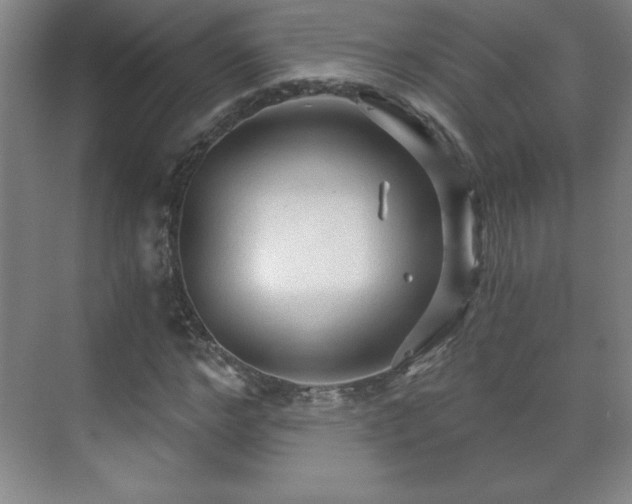 X0000071330968200606301556