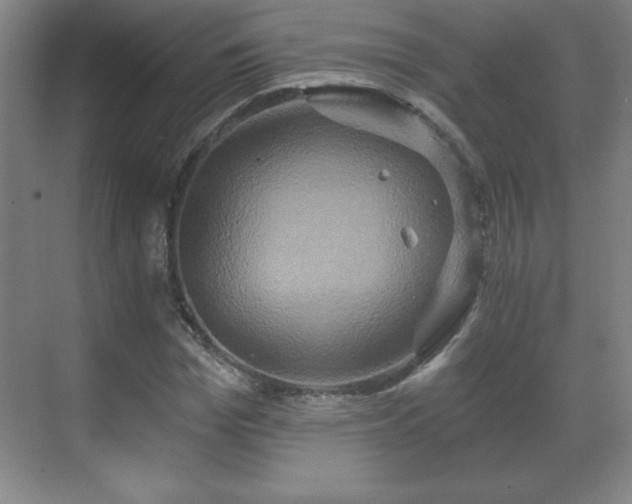 X0000071330969200606301556