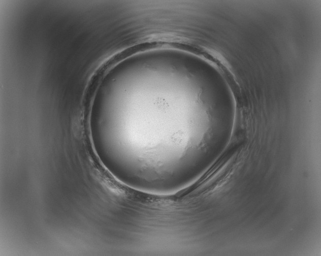 X0000071330971200606301556