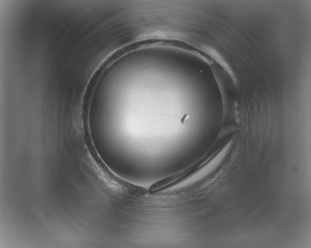 X0000071330972200606301556