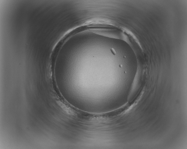 X0000071330973200606301556