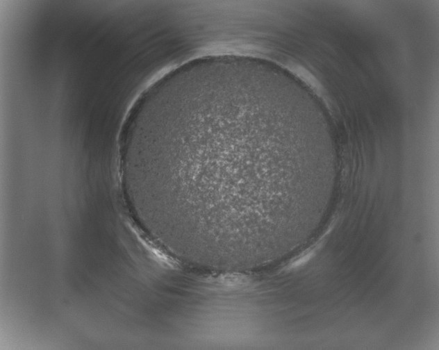 X0000071330974200606301556