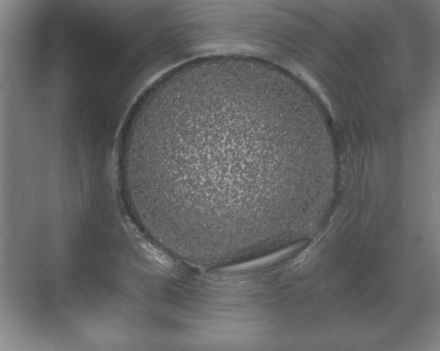 X0000071330975200606301556