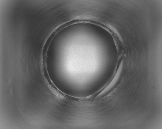 X0000071330976200606301556