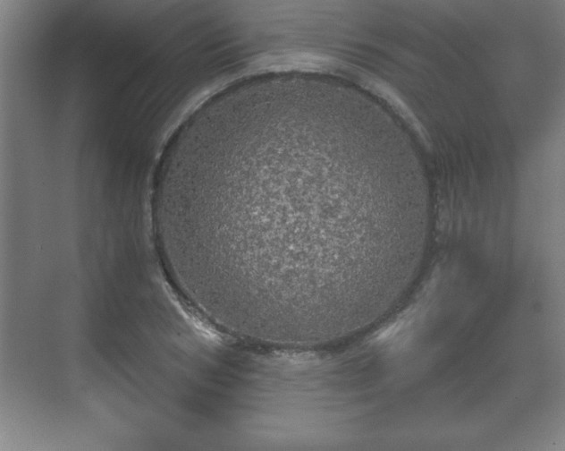 X0000071330978200606301556