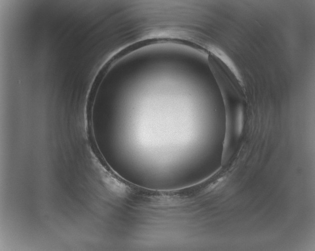 X0000071330980200606301556