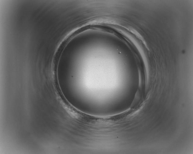 X0000071330981200606301556