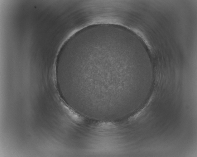 X0000071330982200606301556