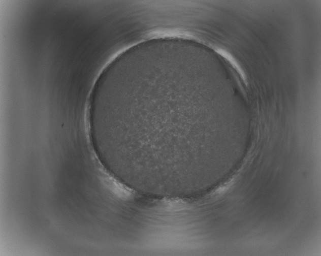 X0000071330983200606301556