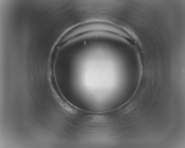 X0000071330984200606301556