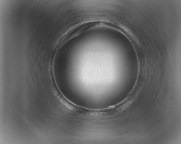 X0000071330985200606301556