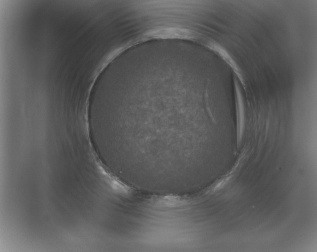 X0000071330986200606301556