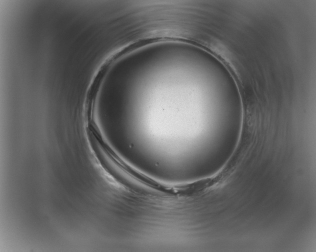 X0000071330987200606301556