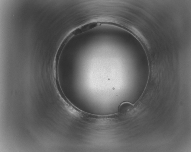 X0000071330988200606301556