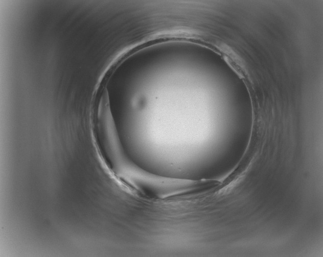 X0000071330989200606301556