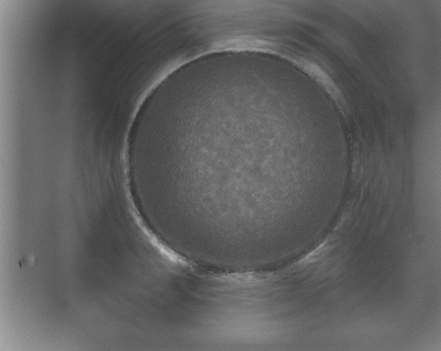 X0000071330990200606301556