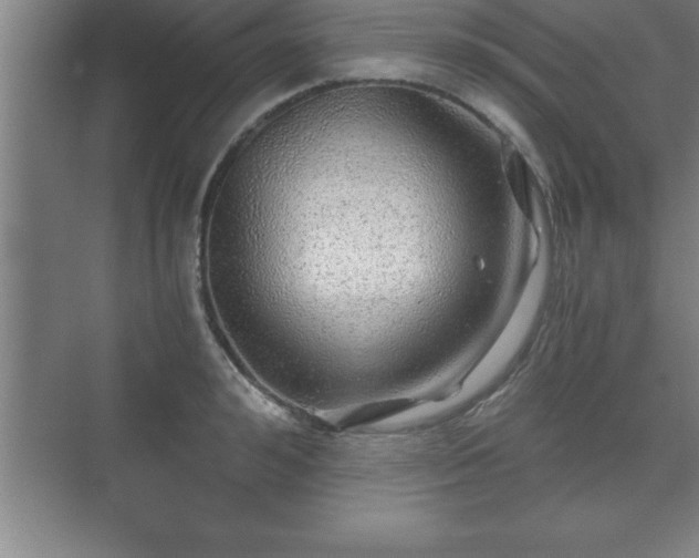 X0000071330992200606301556