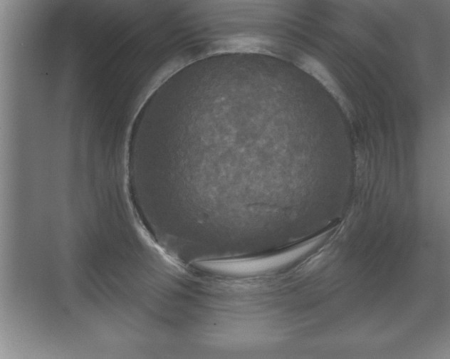 X0000071330994200606301556