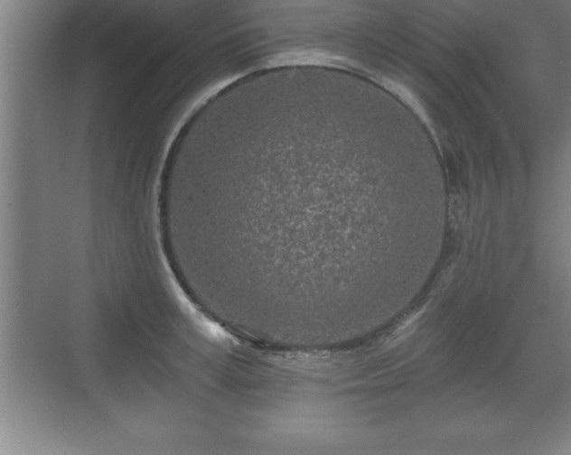 X0000071330995200606301556