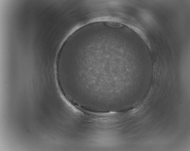 X0000071330998200606301556