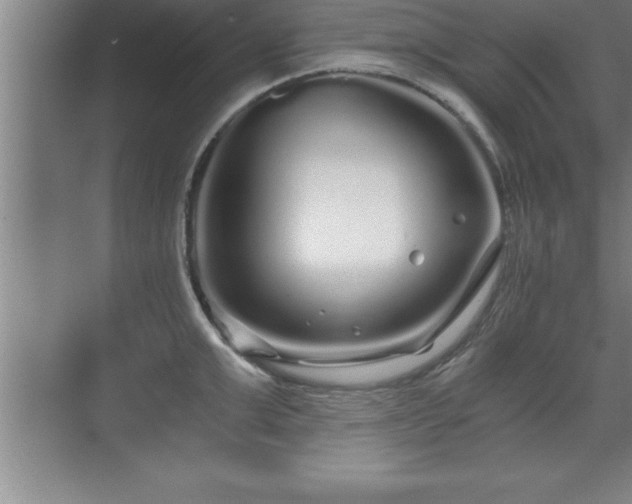 X0000071330999200606301556