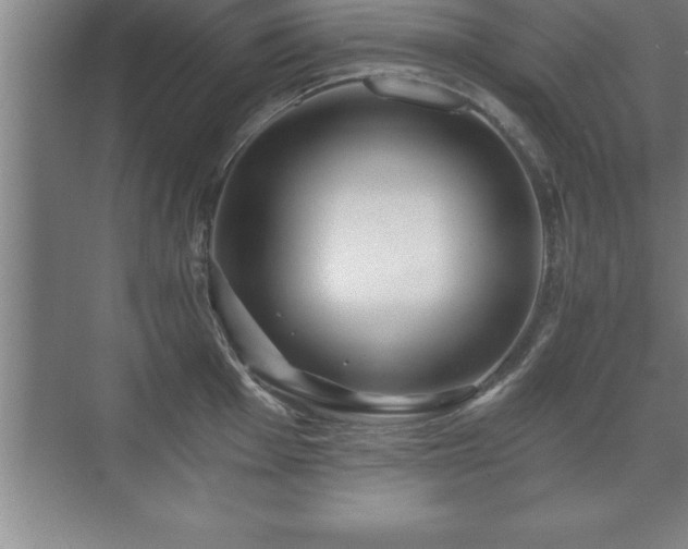 X0000071331001200606301556