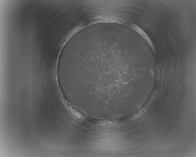 X0000071331002200606301556