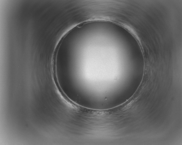 X0000071331003200606301556