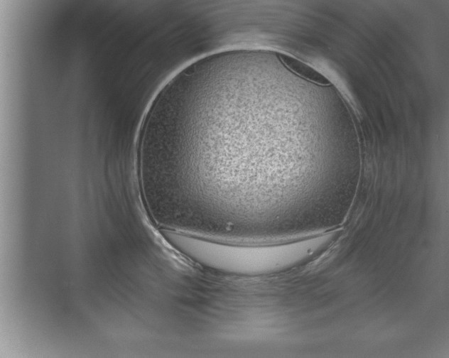 X0000071331004200606301556