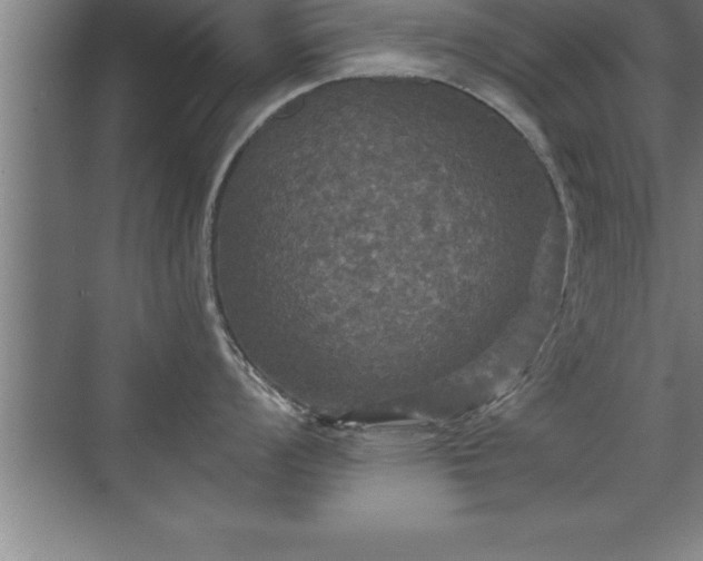 X0000071331008200606301556