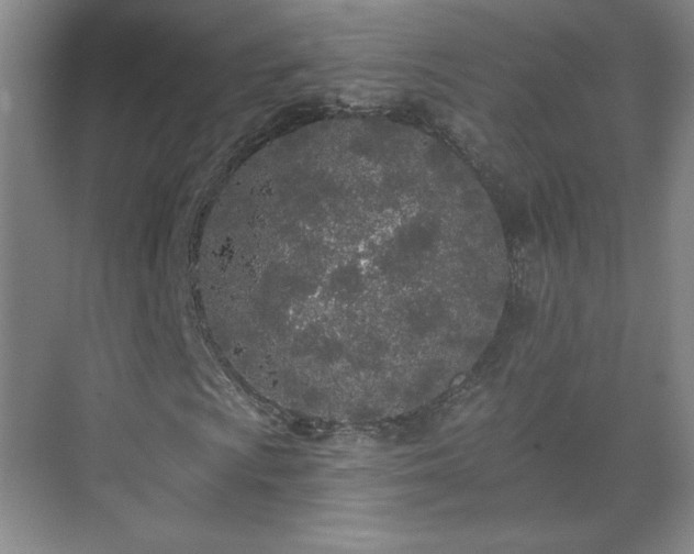 X0000071331009200606301555