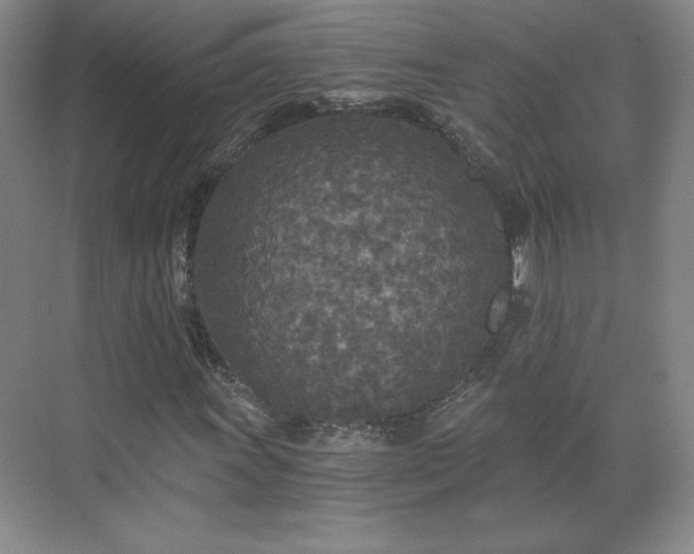 X0000071331011200606301555