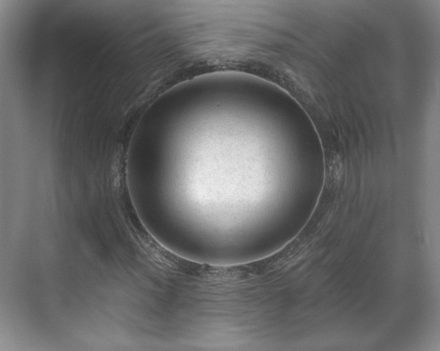 X0000071331012200606301555