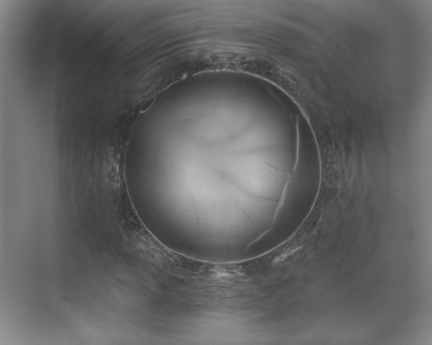 X0000071331013200606301555