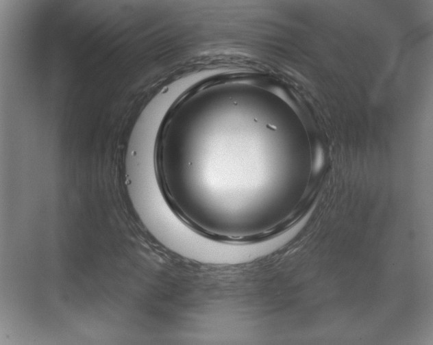 X0000071331014200606301555