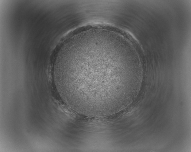 X0000071331016200606301555