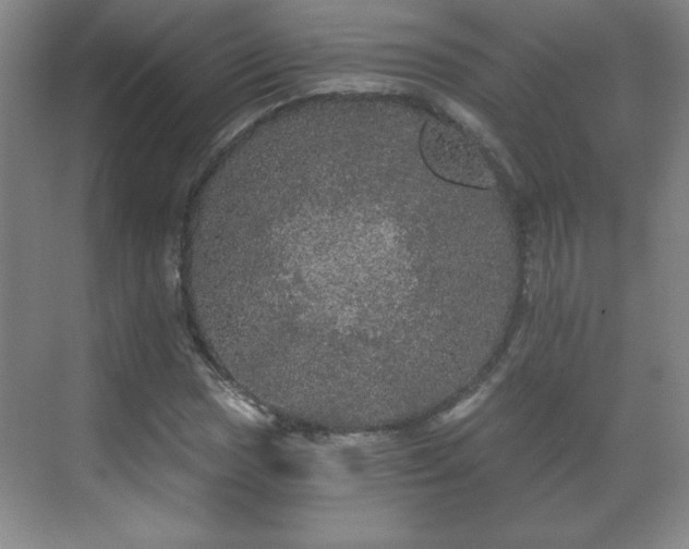 X0000071331017200606301555