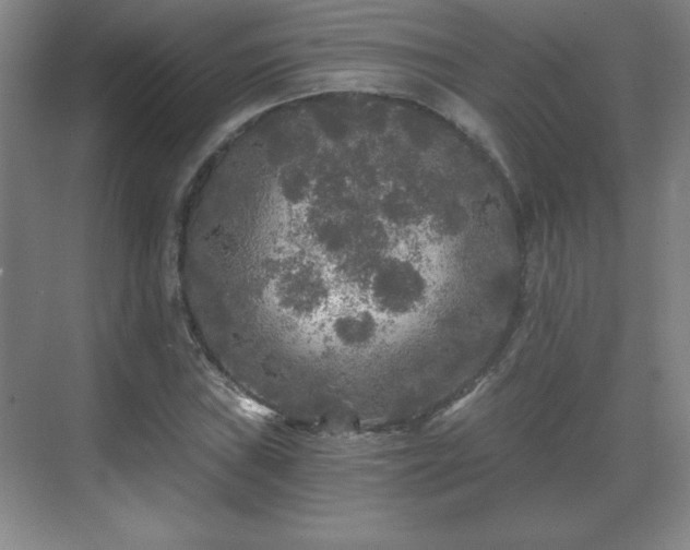 X0000071331019200606301555