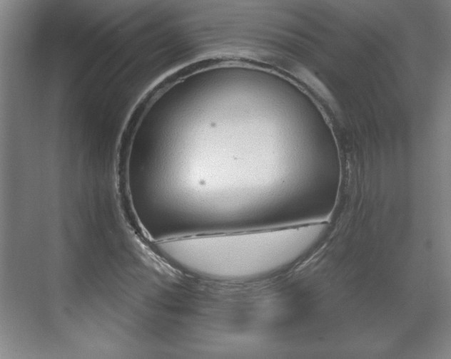 X0000071331020200606301555