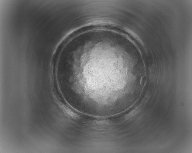 X0000071331021200606301555