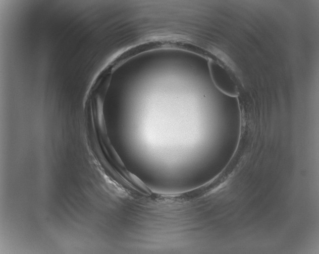 X0000071331022200606301555